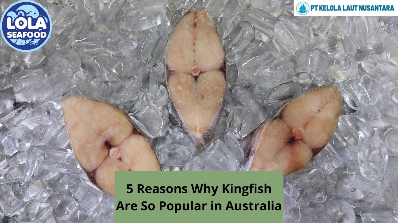 5 Reasons Why Kingfish Are So Popular in Australia